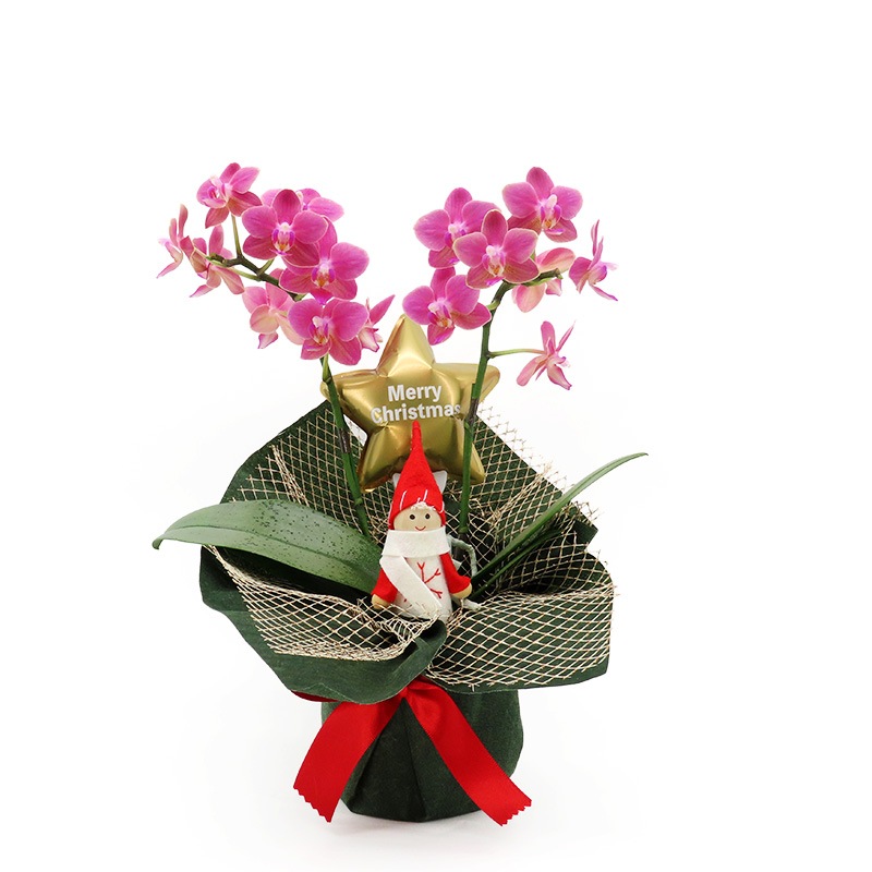 �ԥ��ꥹ�ޥ���[�١����å�]�Ȥ�����(2��Ω��)�ڥ��顼�ѥå�������