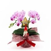 �ԥ��ꥹ�ޥ���[�١����å�]���ȥ饤�ץѡ��ץ�(2��Ω��)�ڥ��顼�ѥå�������