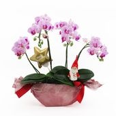 �ԥ��ꥹ�ޥ���[����ȥ�]���ȥ饤�ץѡ��ץ�ڥ��顼�ѥå�������