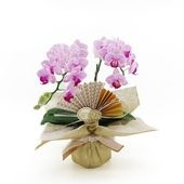 �Ԥ������[�١����å�]���ȥ饤�ץѡ��ץ�(2��Ω��)�ڥ��顼�ѥå�������