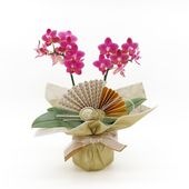 �Ԥ������[�١����å�]�Ȥ�����(2��Ω��)�ڥ��顼�ѥå�������