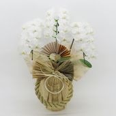 �Ԥ������[����]�ѡ���ۥ磻��(3��Ω��)�ڥۥ磻�ȥѥå�������