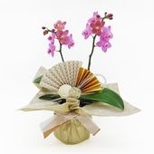 �Ԥ������[�١����å�]�֥��å���ԥ�(2��Ω��)�ڥ��顼�ѥå�������