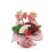 �Ԥ������[�١����å�]�������������ͥå�(2��Ω��)�ڥ��顼�ѥå�������