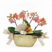 �Ԥ������[����ȥ�]�������������ͥåȡڥ��顼�ѥå�������