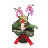 �ԥ��ꥹ�ޥ���[�١����å�]�֥��å���ԥ�(2��Ω��)�ڥ��顼�ѥå�������