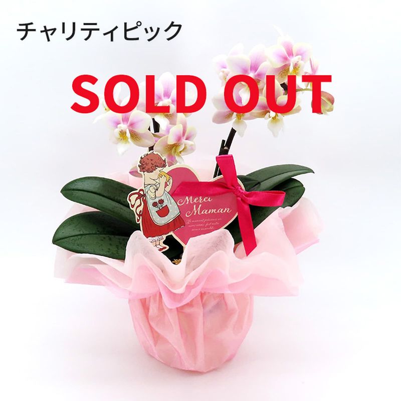 ��Mother's Day��[�١����å�]�ߥ륭������(2��Ω��)�ڥ��顼�ѥå�������