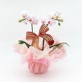 ��Mother's Day��[�١����å�]�������ۥ磻��(2��Ω��)�ڥ��顼�ѥå�������