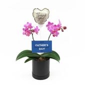 ��Father's Day��[�١����å�]���֥��å���ԥ�(2��Ω��)�ڥ��顼�ѥå�������