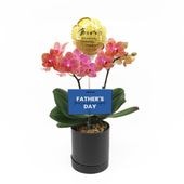 ��Father's Day��[�١����å�]���������������ͥå�(2��Ω��)�ڥ��顼�ѥå�������