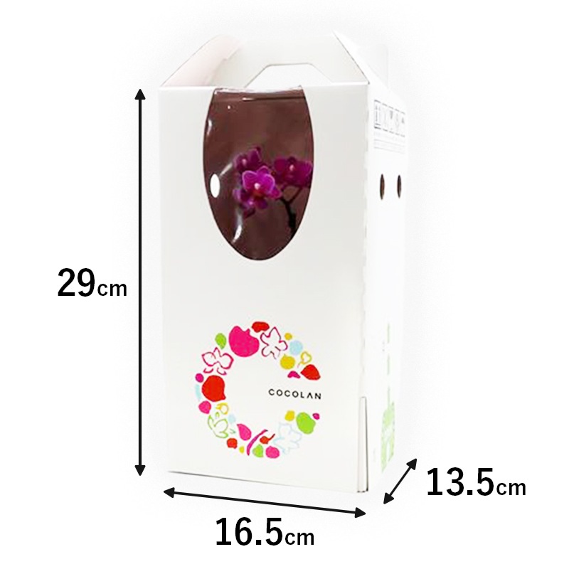 ナノ]8鉢アソート | サイズから選ぶ,ナノ | COCOLAN SHOP