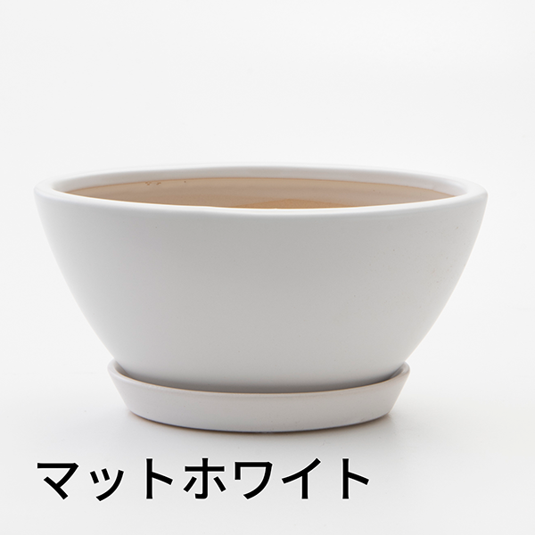 [����ȥ�]�������������ͥåȡڥ��顼�ѥå�������