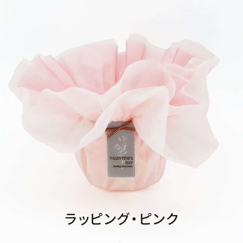 ��ValentineDay��[�١����å�]�Ȥ�����(2��Ω��)�ڥ��顼�ѥå�������