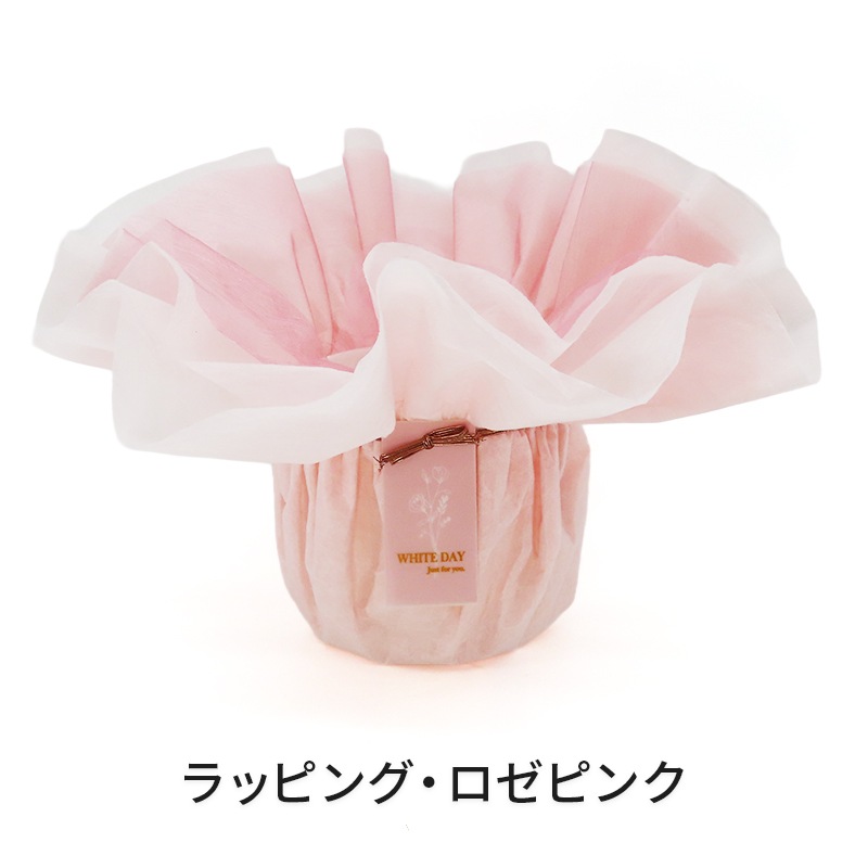 ��WhiteDay��[�١����å�]�Ȥ�����(2��Ω��)�ڥ��顼�ѥå�������