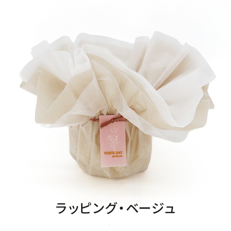 ��WhiteDay��[�ȡ���]��(����������)(2��Ω��)�ڥȡ���ѥå�������