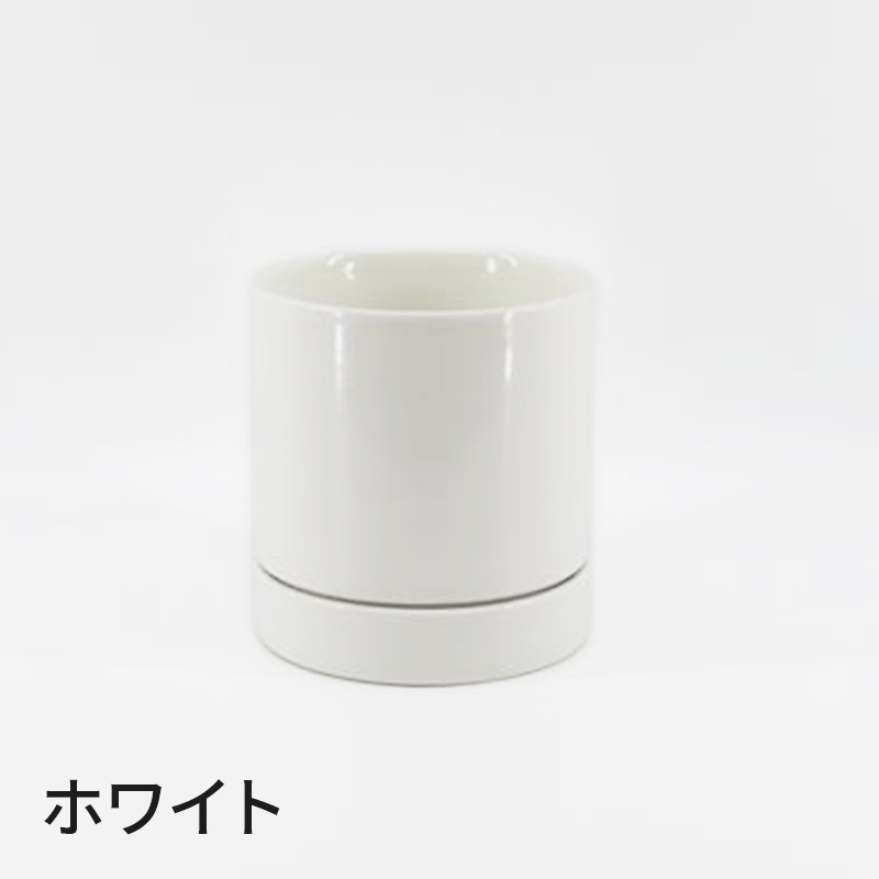 Ԥؤ[١å]ԥ奢ԥ(2Ω)ڥ顼ѥå