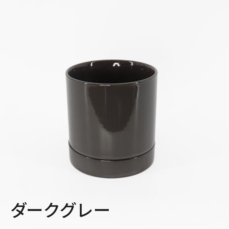 Ԥؤ[ȡ]եԥ(2Ω)ڥȡѥå