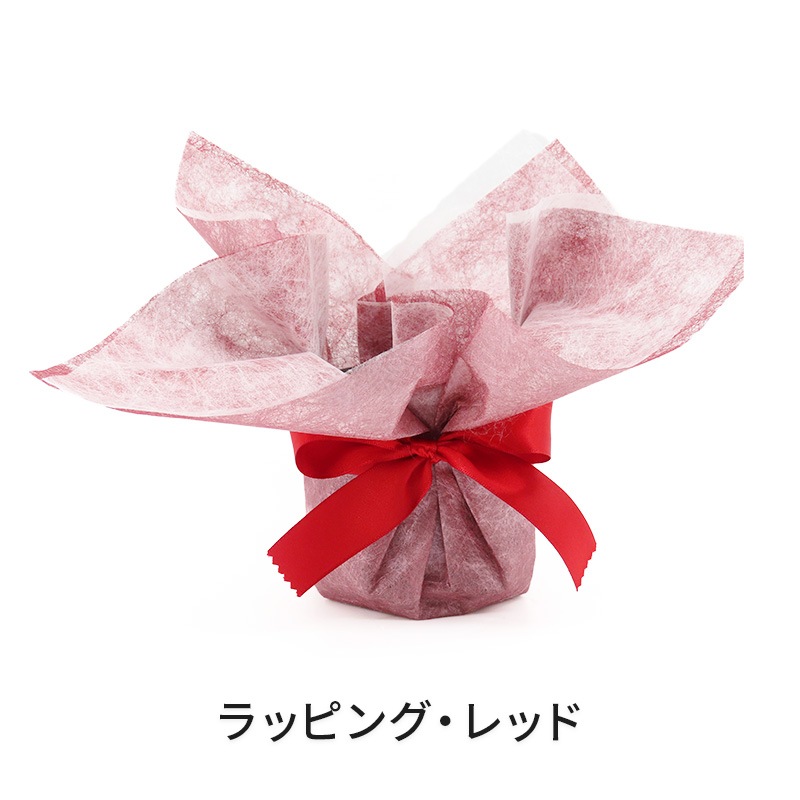 �ԥ��ꥹ�ޥ���[�١����å�]���ȥ饤�ץѡ��ץ�(2��Ω��)�ڥ��顼�ѥå�������