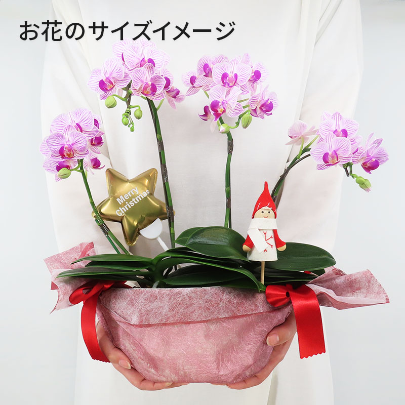 �ԥ��ꥹ�ޥ���[����ȥ�]���ȥ饤�ץѡ��ץ�ڥ��顼�ѥå�������