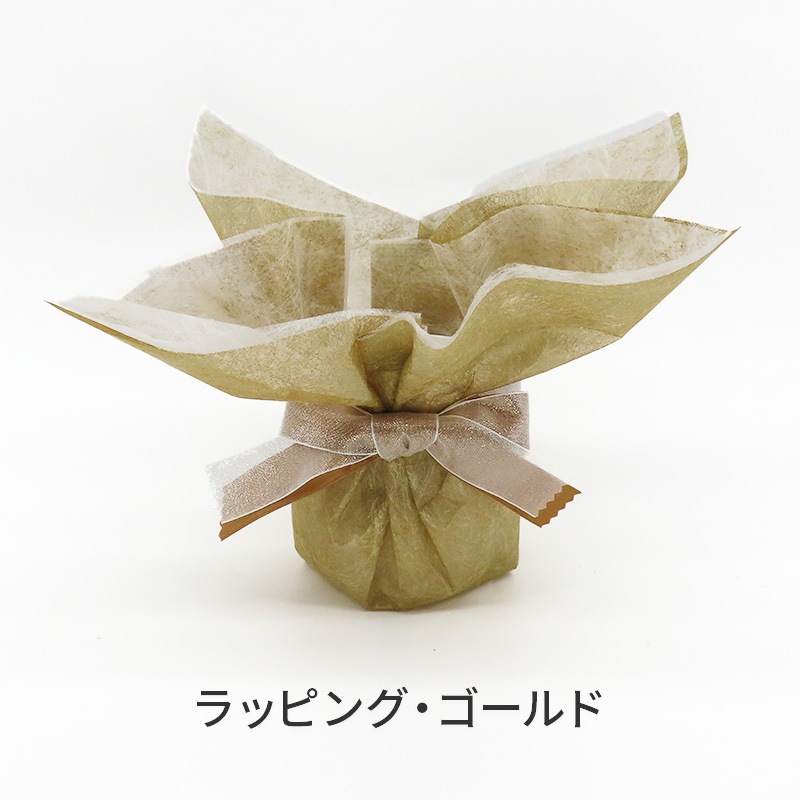 �Ԥ������[�١����å�]���ȥ饤�ץѡ��ץ�(2��Ω��)�ڥ��顼�ѥå�������