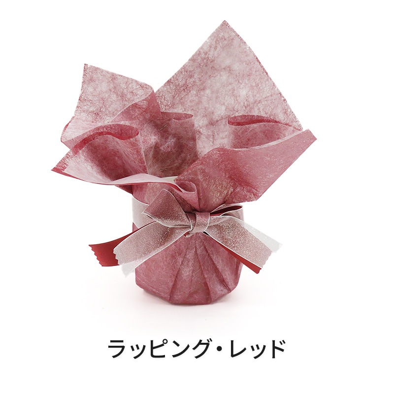 �Ԥ������[�١����å�]���ȥ饤�ץѡ��ץ�(2��Ω��)�ڥ��顼�ѥå�������