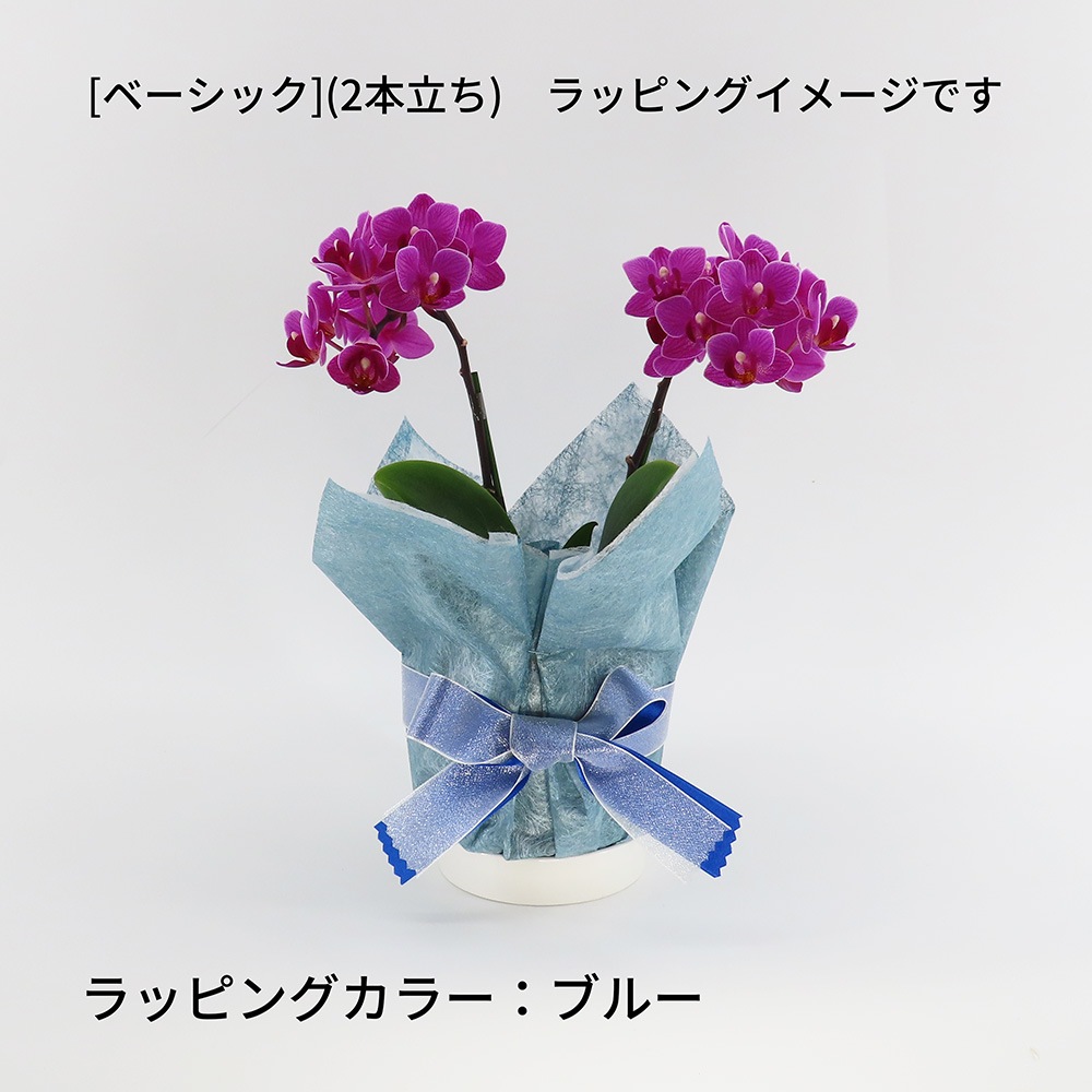 �ڥ��ץ����ۥ�åԥ�[�ʥ�]�ߥå�����[�١����å�]��[�ȡ���]����