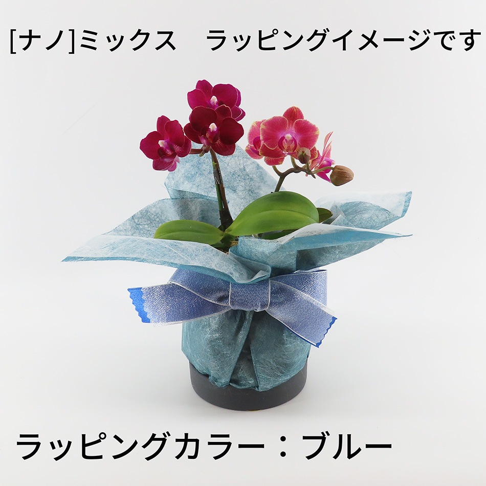 �ڥ��ץ����ۥ�åԥ�[�ʥ�]�ߥå�����[�١����å�]��[�ȡ���]����