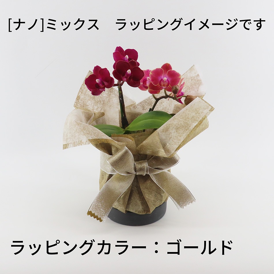 �ڥ��ץ����ۥ�åԥ�[�ʥ�]�ߥå�����[�١����å�]��[�ȡ���]����
