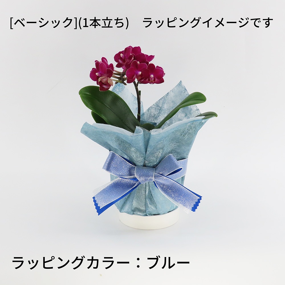 �ڥ��ץ����ۥ�åԥ�[�ʥ�]�ߥå�����[�١����å�]��[�ȡ���]����