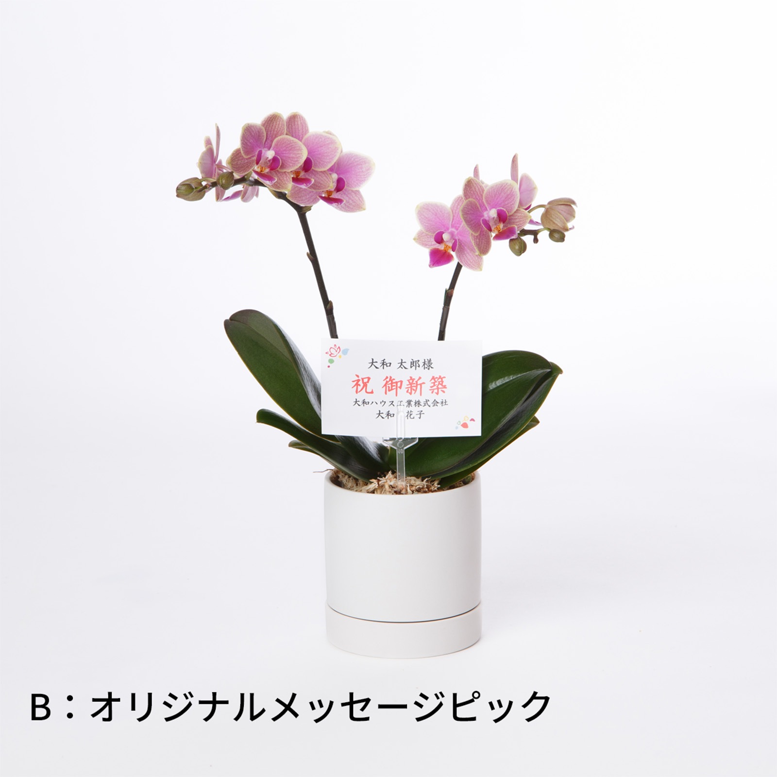 オプション】オリジナルメッセージタグ・ピック | サイズから選ぶ