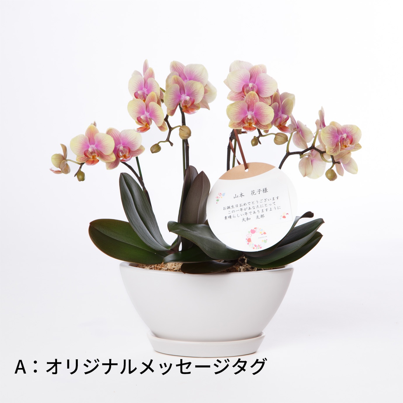 オプション】オリジナルメッセージタグ・ピック | サイズから選ぶ