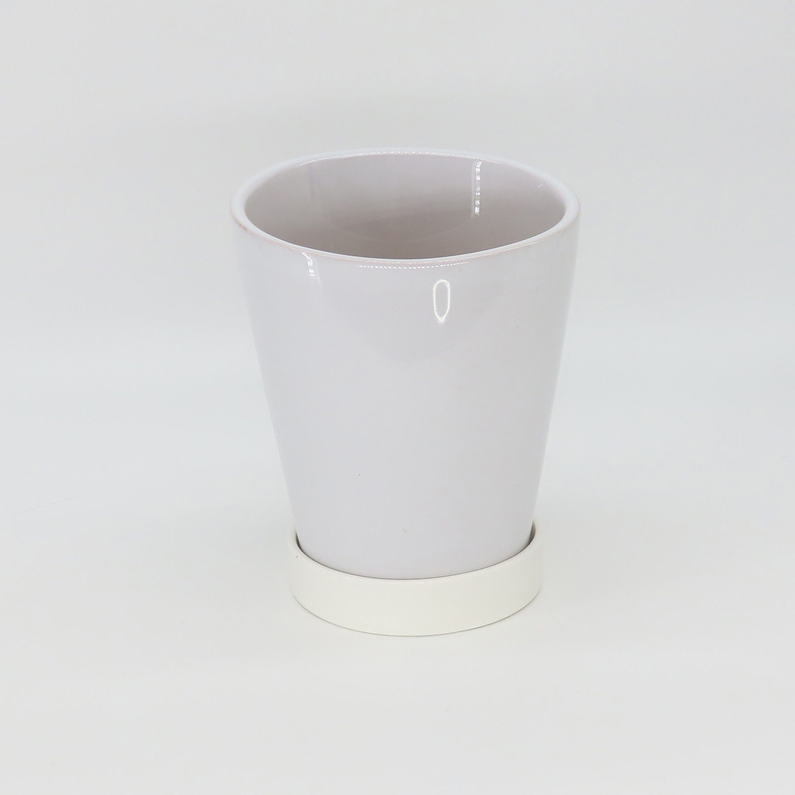 �Ԥ������[����]�ѡ���ۥ磻��(1��Ω��)�ڥۥ磻�ȥѥå�������