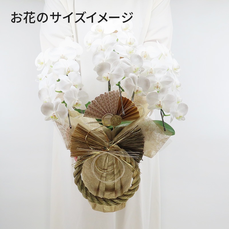 �Ԥ������[����]�ѡ���ۥ磻��(3��Ω��)�ڥۥ磻�ȥѥå�������