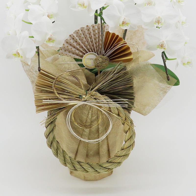 �Ԥ������[����]�ѡ���ۥ磻��(3��Ω��)�ڥۥ磻�ȥѥå�������