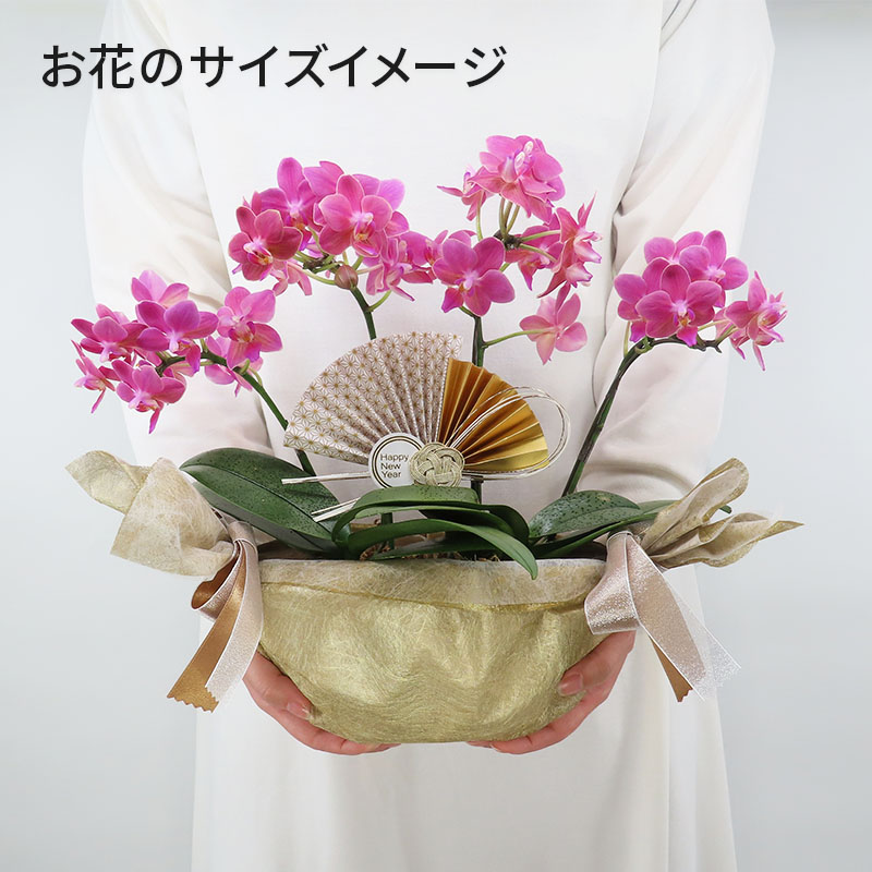 �Ԥ������[����ȥ�]�Ȥ������ڥ��顼�ѥå�������