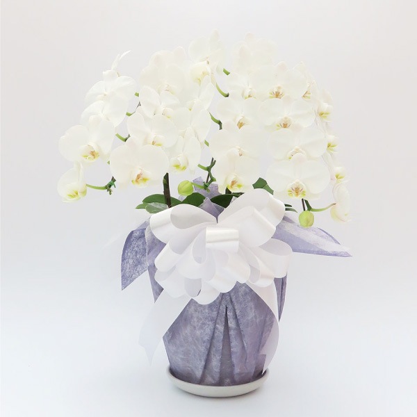 ��������[����]�ѡ���ۥ磻��