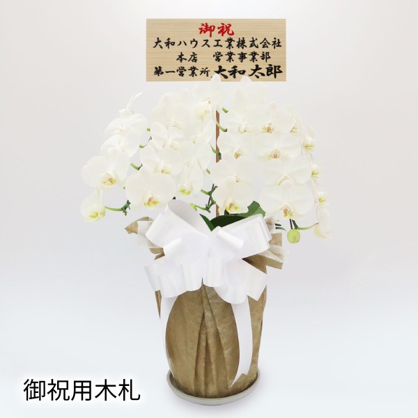 ���ˤ���[����]�ѡ���ۥ磻��