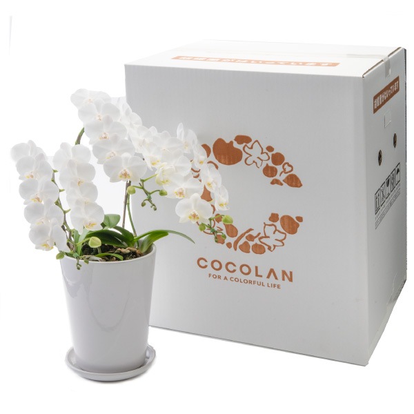 ���ˤ���[����]�ѡ���ۥ磻��