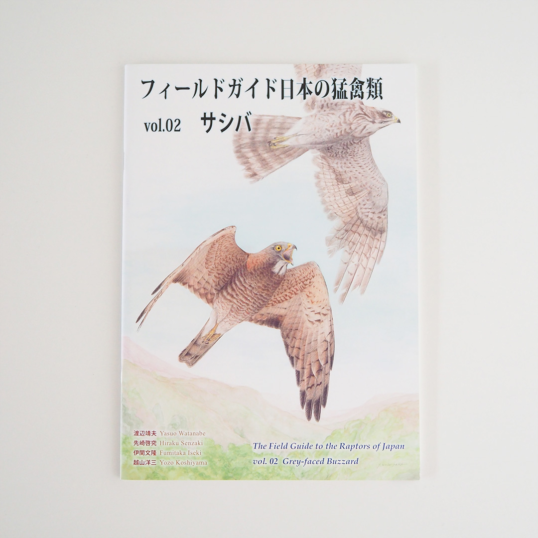 激安商品 キツメのサシバ様専用 asakusa.sub.jp