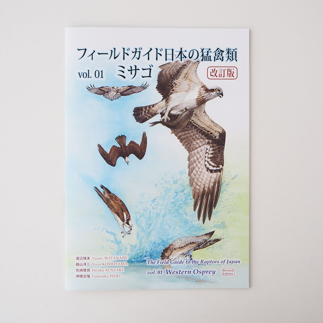 フィールドガイド日本の猛禽類 vol.01 ミサゴ【改訂版】 | 伊関