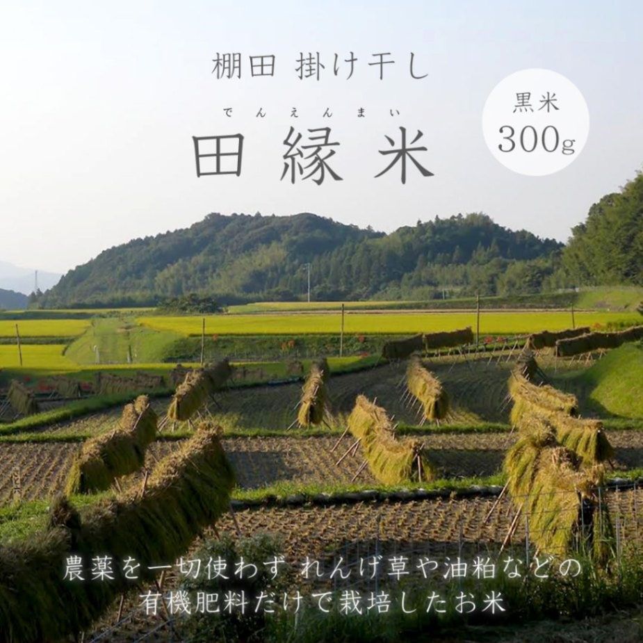 田縁米/黒米/300g/令和6年産 | 井原山田縁プロジェクト | 糸島