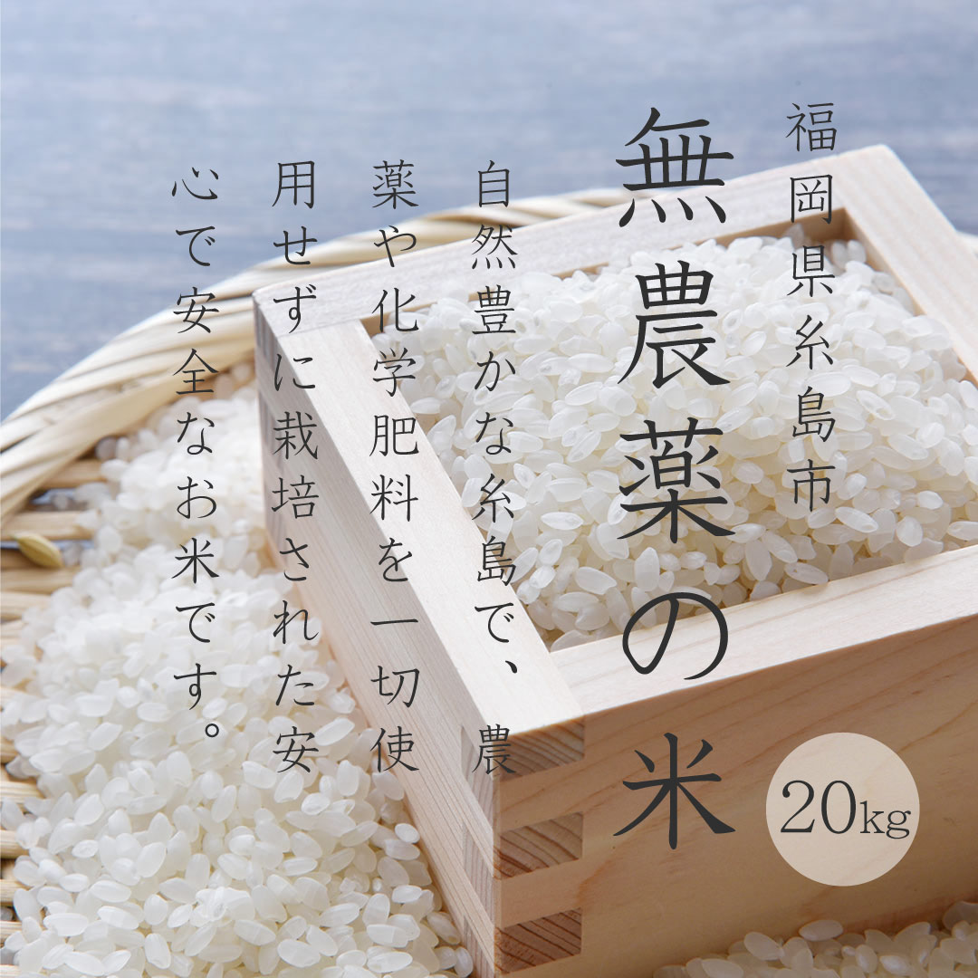 福岡県産 無農薬新米 20k （AZ SHOP 様専用商品 福岡県産「元気