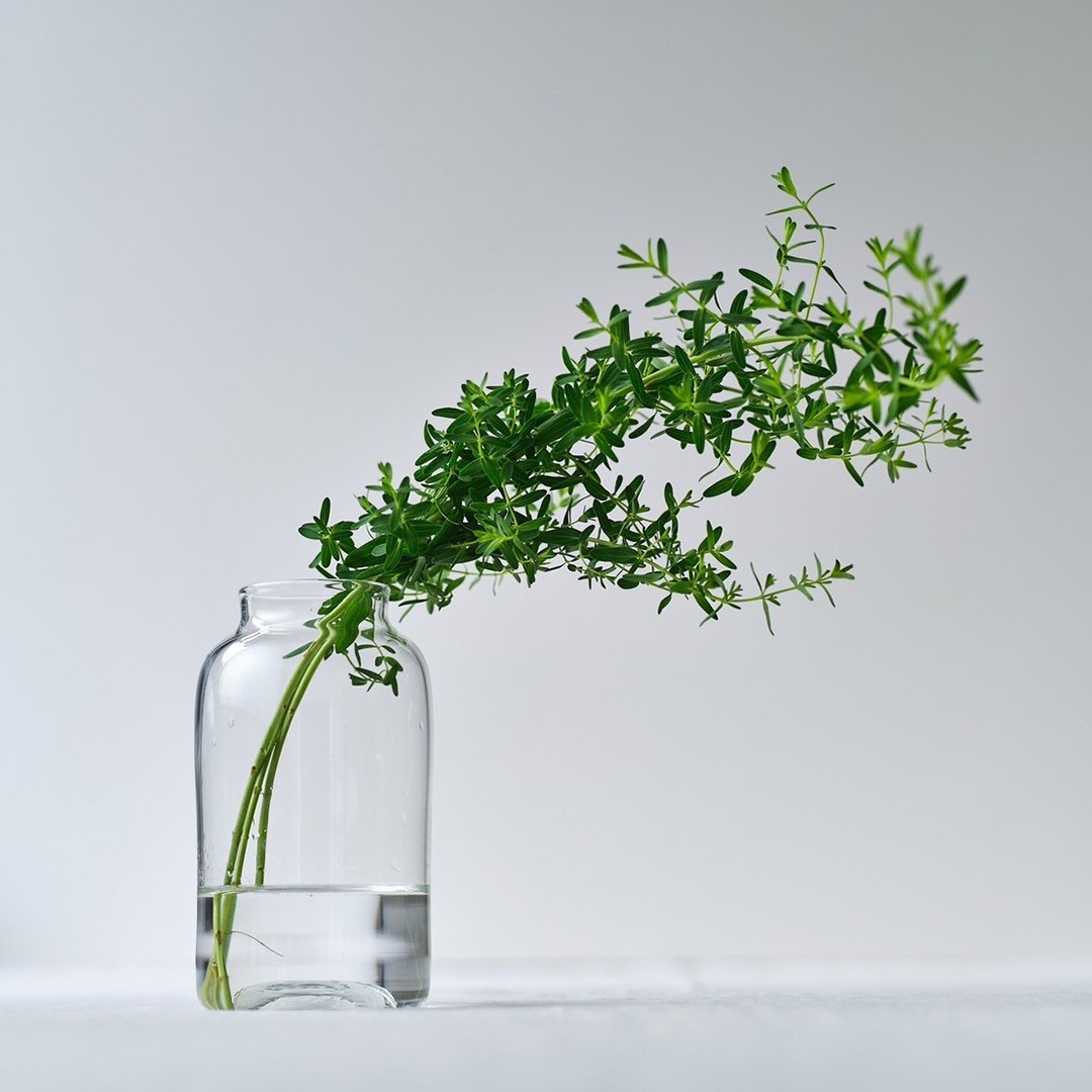 ヒヤシンスポット/丸 | さこうゆうこ | 糸島くらし×ここのき 公式通販