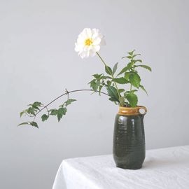 ����åץ�����/����