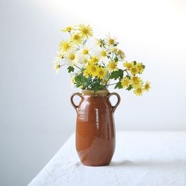 ����åץ�����/����