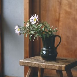 ����åץ�����/�ԥå��㡼