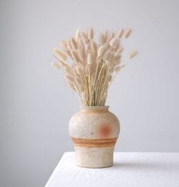 ����/����