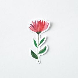 ���ƥå���/hana2