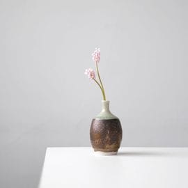 �ݤ�ʬ�������ޤ�