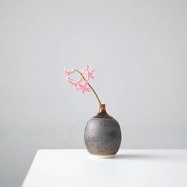 �ݤ�ʬ�������ޤ�